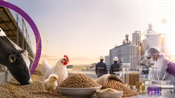 گالری زرین جاودانه