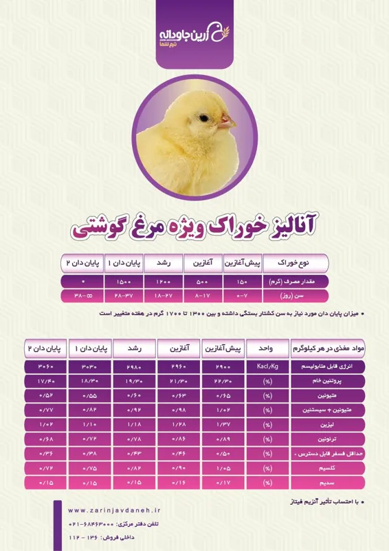 آنالیز خوراک ویژه مرغ گوشتی