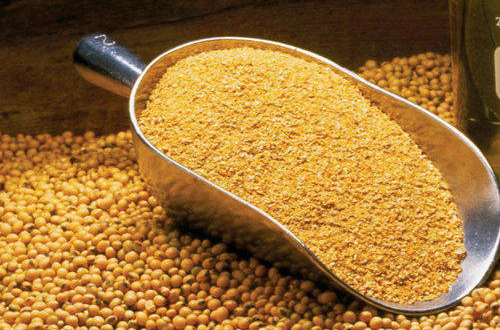 کنجاله سویا و اهمیت آن در تغذیه طیور و جایگزین های آن (قسمت دوم) | زرین  جاودانه