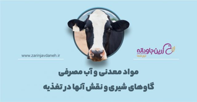 مواد معدنی