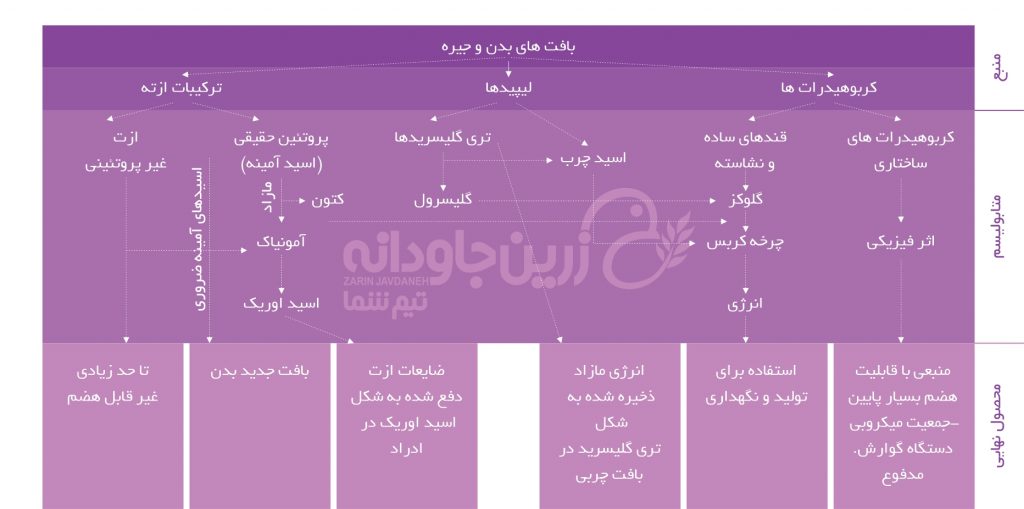بافت بدن و جیره