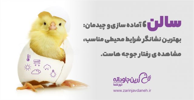 آماده سازی سالن و چیدمان