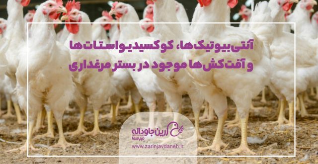 آنتی‌بیوتیک‌ها،