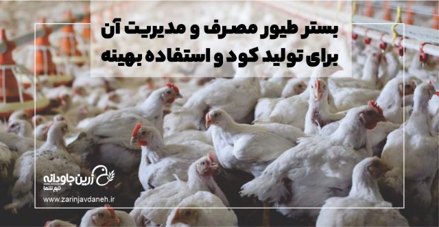 مصرف و مدیریت بستر طیور