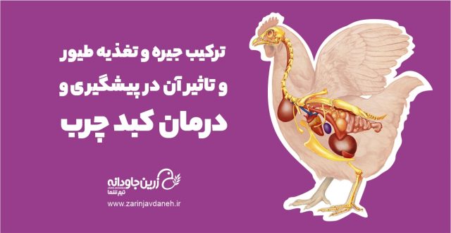 ترکیب جیره و تغذیه طیور
