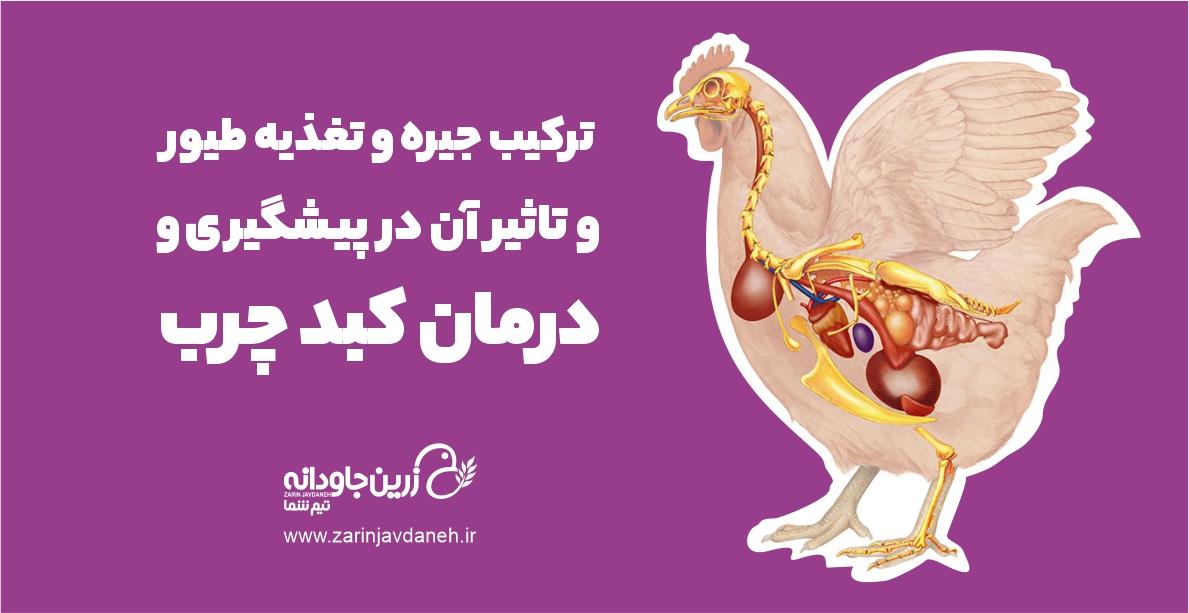 ترکیب جیره و تغذیه طیور