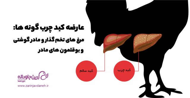 عارضه کبد چرب گونه ها: