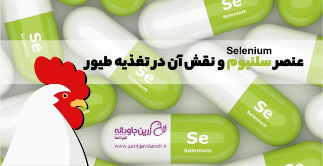 عنصر سلنیوم و نقش آن در تغذیه طیور