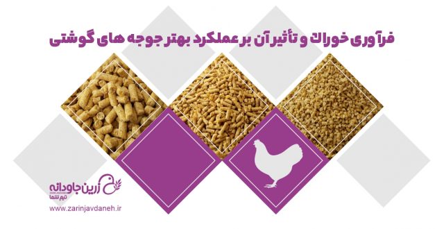 فرآوری خوراک