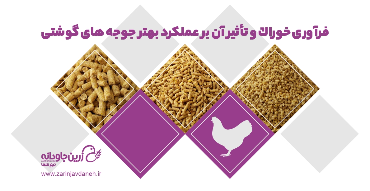 فرآوری خوراک