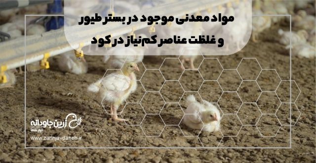 مواد معدنی موجود در بستر طیور