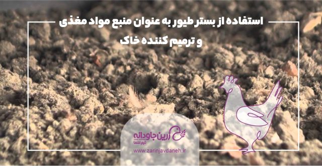 استفاده از بستر طیور