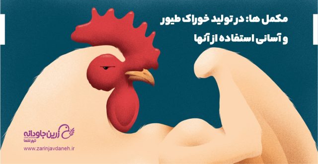 مکمل ها و آسانی استفاده