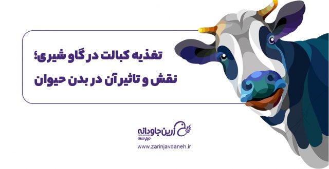 تغذیه کبالت