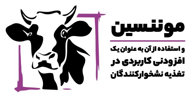 موننسین
