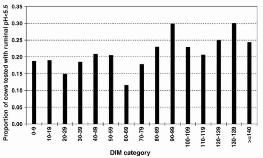 DIM Category