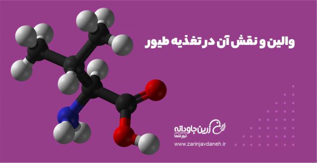 والین