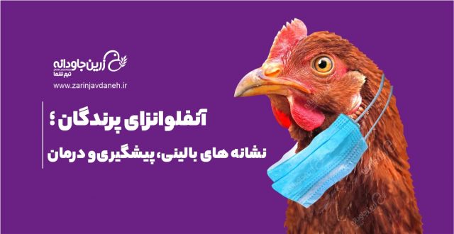 آنفولانزای پرندگان