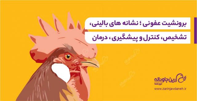 برونشیت عفونی