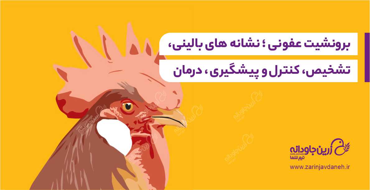 برونشیت عفونی