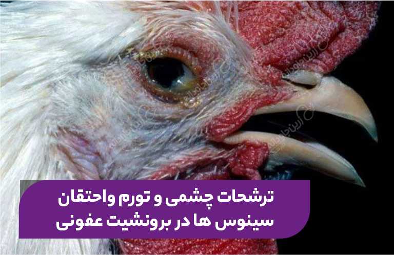 ترشحات چشمی برونشیت