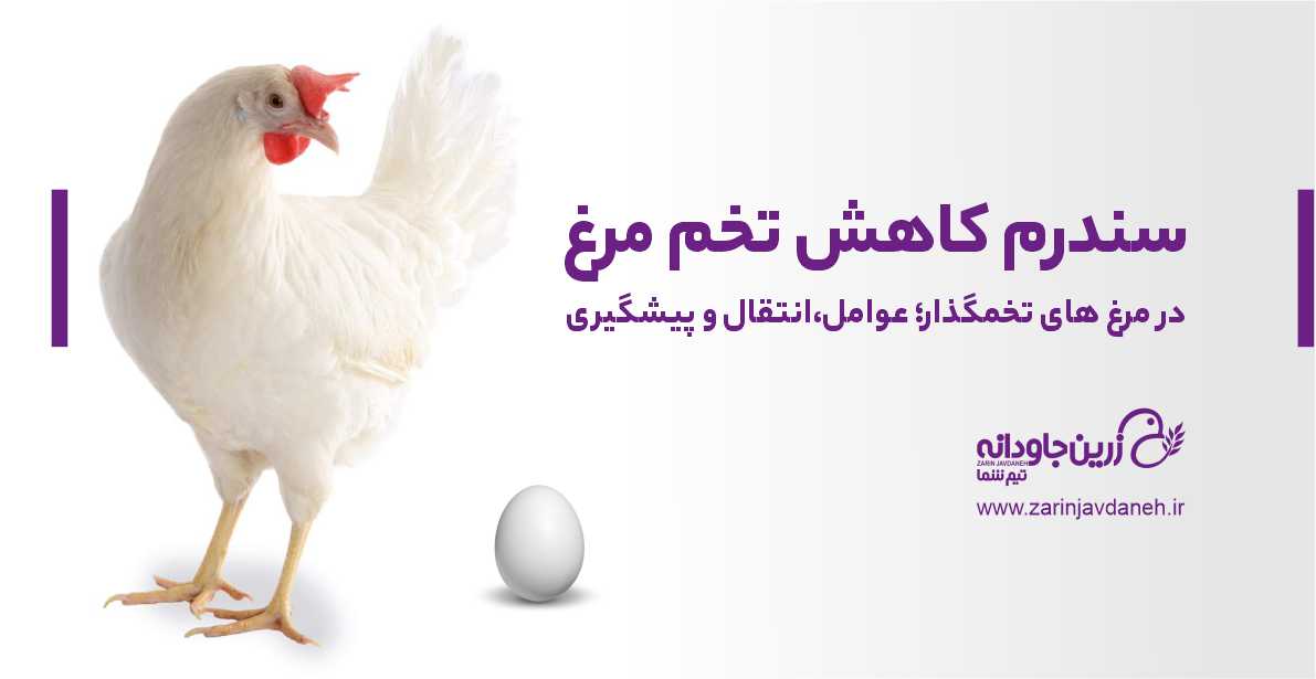 سندرم کاهش تخم مرغ