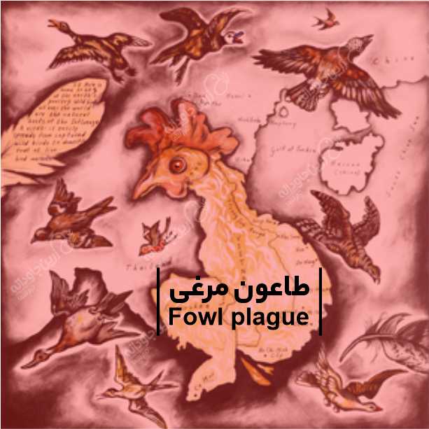 طاعون مرغی