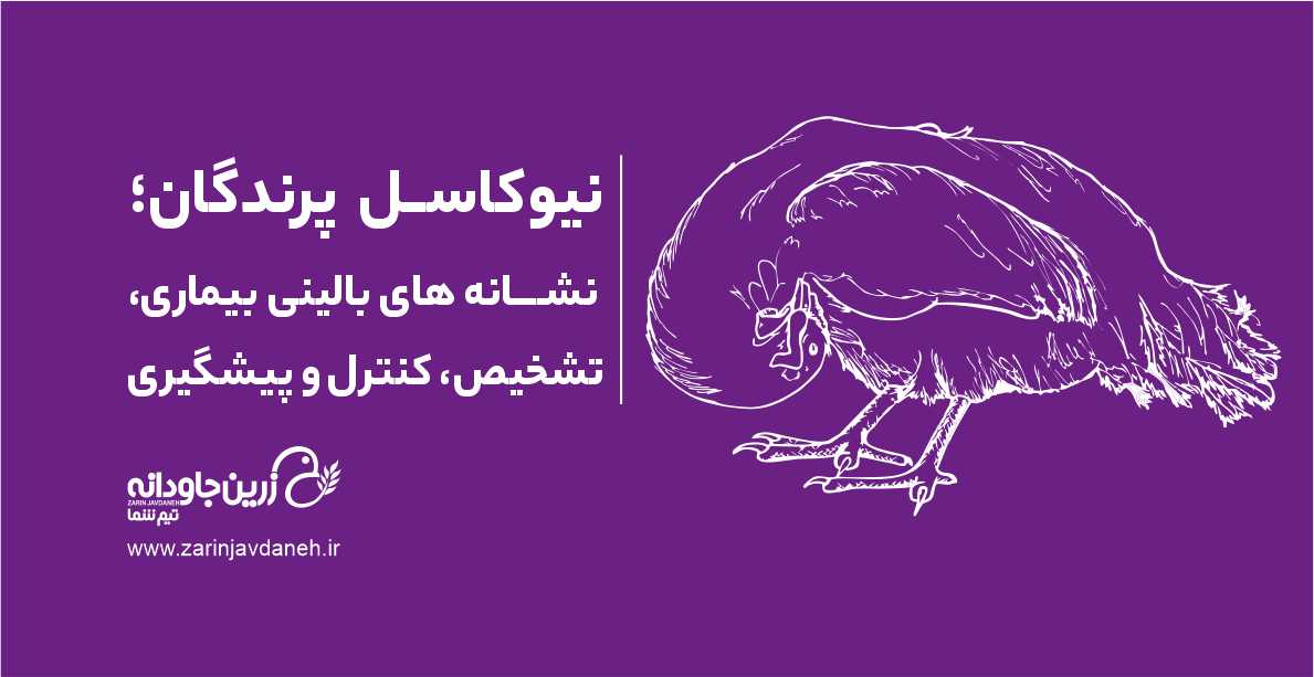 نیوکاسل