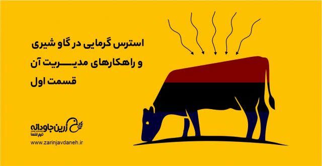 استرس گرمایی در گاو شیری