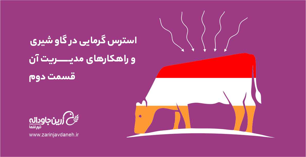 استرس گرمایی در گاو شیری