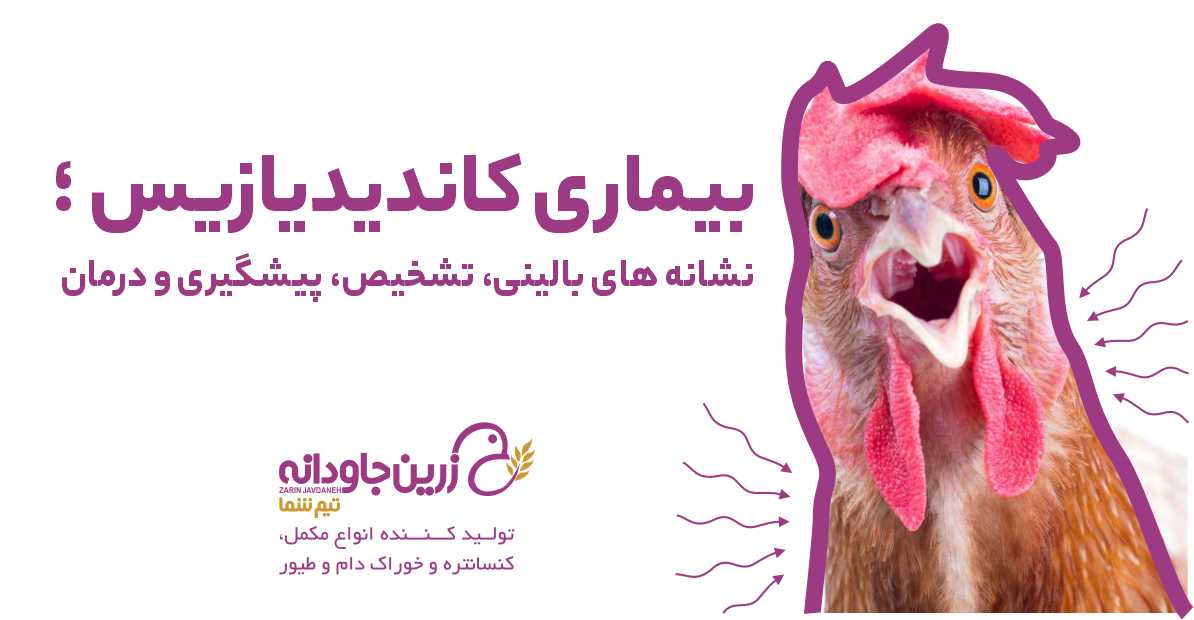 بیماری کاندیدیازیس