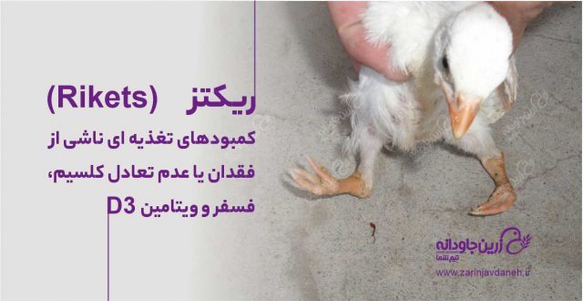 ریکتز
