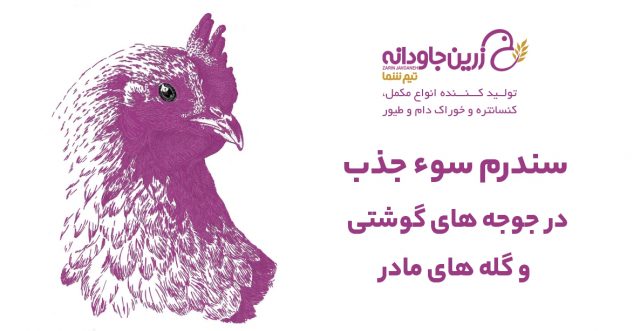 سندرم سوء جذب