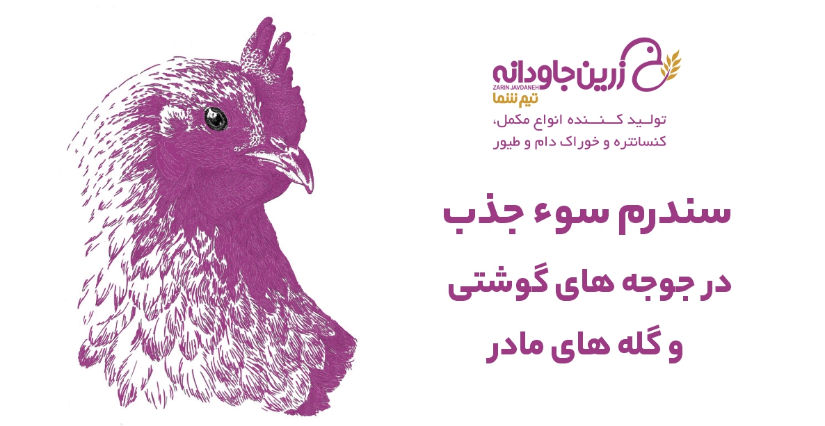 سندرم سوء جذب