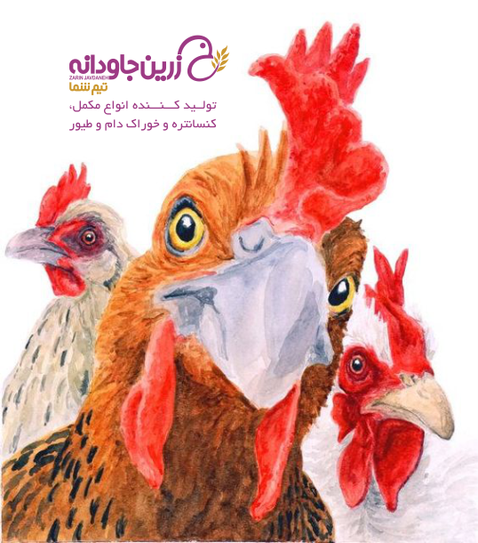 کلی باسیلوز