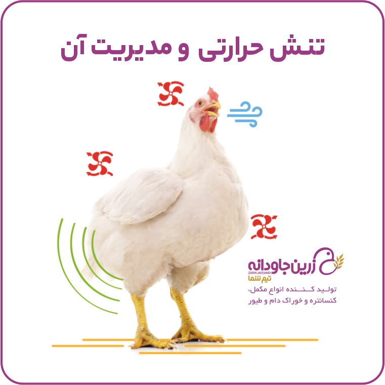 تنش حرارتی