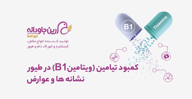 کمبود تیامین B1