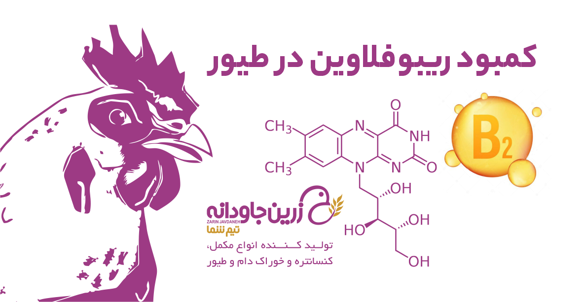 ریبوفلاوین ویتامین ب