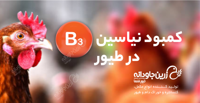 کمبود نیاسین