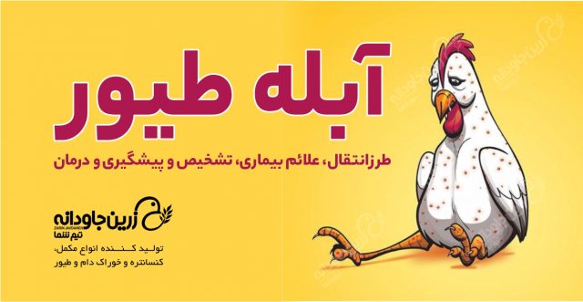 آبله طیور