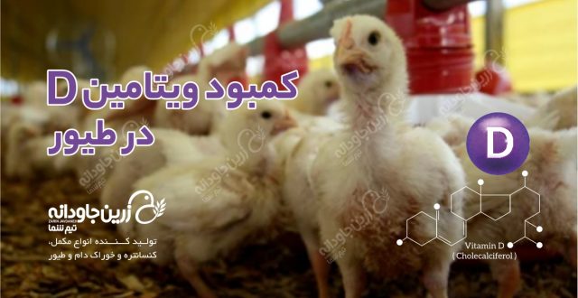 ویتامین D
