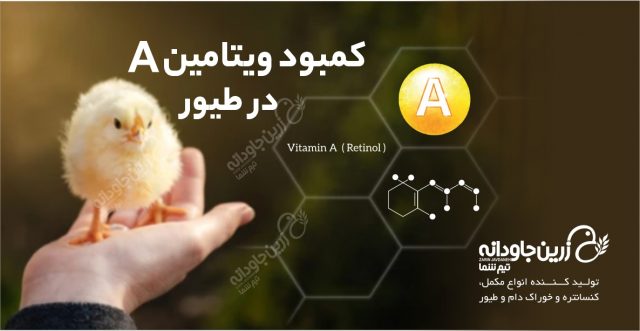 ویتامین A