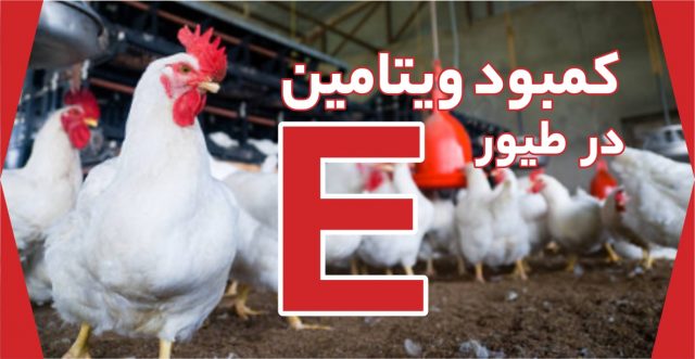 ویتامین E