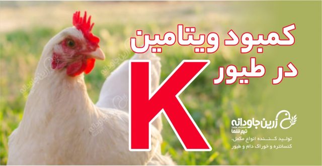ویتامین K