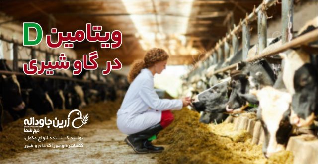 ویتامین D در گاو شیری