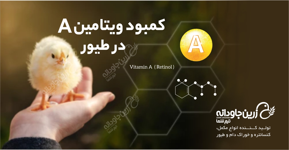 ویتامین A