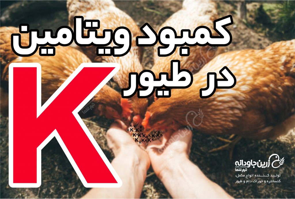 ویتامین K