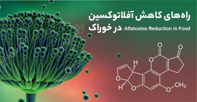 آفلاتوکسین