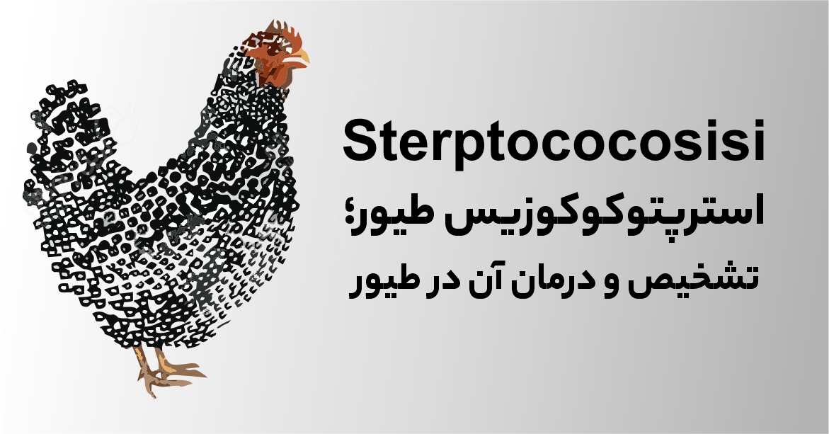 استرپتوکوکوزیس