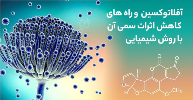 آفلاتوکسین